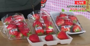 岐阜市中央卸売市場からイチゴをご紹介！！