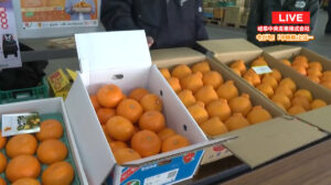 岐阜市中央卸売市場から柑橘類をご紹介!