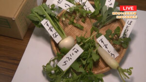 岐阜中央青果株式会社から春の七草の話題をお届け！