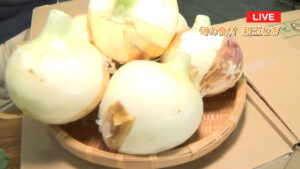 岐阜中央卸売市場から中継!旬の新玉ねぎが登場