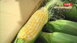 岐阜市中央卸売市場から旬の野菜と果物を紹介