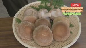 岐阜中央青果株式会社から秋が旬なお野菜の話題をお届け！