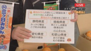 岐阜中央青果株式会社から今が旬なお野菜の話題をお届け!
