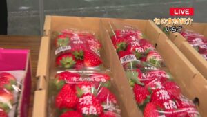 岐阜中央青果株式会社からネギといちごの話題をお届け!